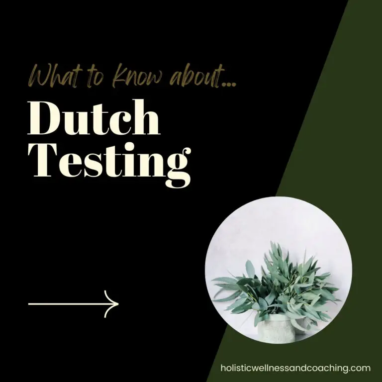 Dutch Complete Business Launch Special